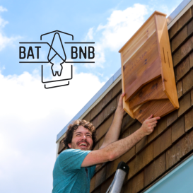 BatBnB: Eliminate Pests While Preserving Wildlife