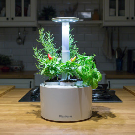 Plantone 2.0: Unleash Your Green Thumb