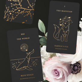 The Rare & Magnificent Creatures Tarot Deck