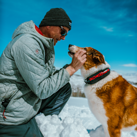 Wolf Pack: Dog Collar & Integrated First Aid Kit