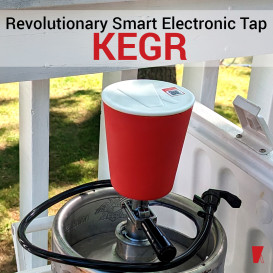 Kegr: A Simple and Smart Electronic Beer Keg Tap