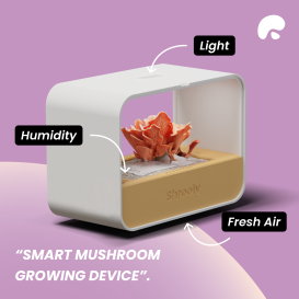 Shrooly: grow mushrooms you can't find anywhere