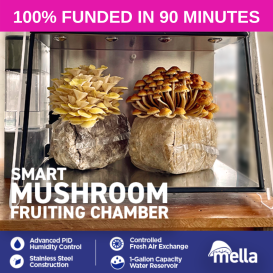 Mella: The Smart Mushroom Fruiting Chamber