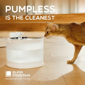Elfin Fountain: Pumpless Pet Water Fountain