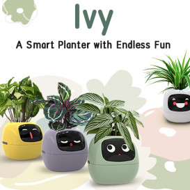PLANTSIO Ivy - Smart Flowerpots, Endless Fun