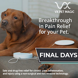 VX Pet Magic - Pain Relief for Your Pet