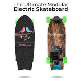 Flexible,Playful, and Modular Electric Skateboard