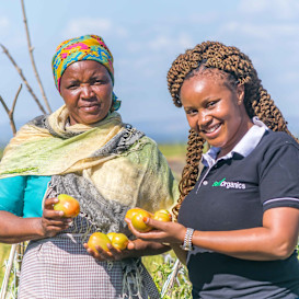 Help Safi and Takachar expand to a new community
