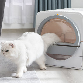 Peterest:The World's 1st Scoop-Free Cat Litter Box