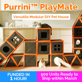Purrini Playmate: Versatile Modular Pet House