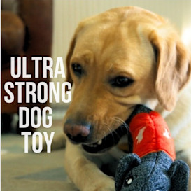 CHEEKY - The strongest and safest dog toy !