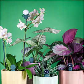 FYTA 2.0: Smart Fitness Tracker for Your Plants