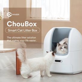 ChouBox: The Ultimate Automatic Litter Box