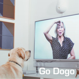 Go Dogo - Mental Workout for Dogs