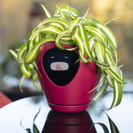 Lua, the smart planter with feelings!