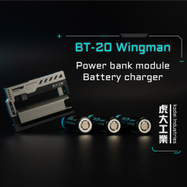 BT-20Wingman: Power bank with detachable batteries