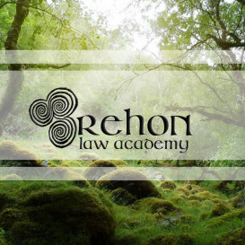 Brehon Law Academy Website Relaunch