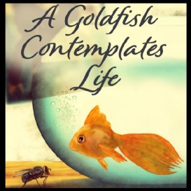 A Goldfish Contemplates Life: a short film