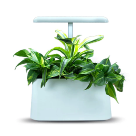 brēth - The Next Generation Air Purifier