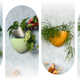 Gecko Planters - Removable Adhesive Wall Planters