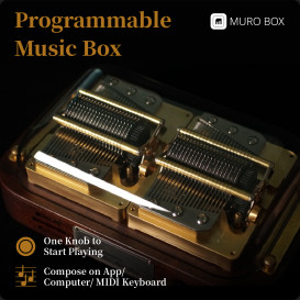 Muro Box-N40: Programmable Mechanical Music Box