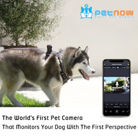 PetNow: Wearable Smart Pet Camera for Dogs