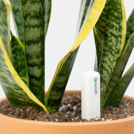Quench - Plant Care Made Easy