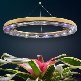 CURA: 360 Degrees Of Plant Care