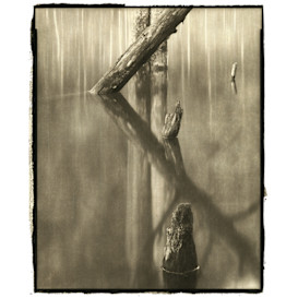 ArtBook that photographed Gods who dwell in nature