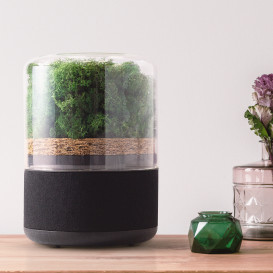 The Briiv Air Filter - Unlock The Power Of Plants