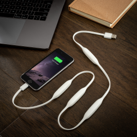 The Portal Cord