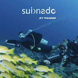 Subnado: Compact & Lightweight Underwater Scooter