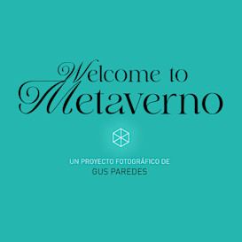 Proyecto Metaverno