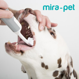 Mira-Pet:The brush that cleans more than any other