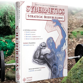Sybernetics - Strategic Bodybuilding