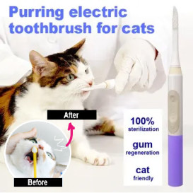 Purring electric toothbrush for cats