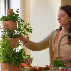 Garden Stack: Vertical Farming from Home