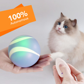 Luerpci: Smart Ball That Plays With Your Pet
