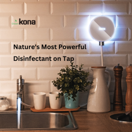 Shield O: Nature’s Powerful Disinfectant on Tap
