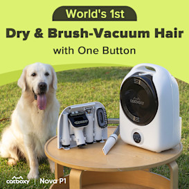 Catboxy: Hair-Dry & Brush-Vacuum Pet Grooming Kit