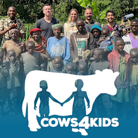 Cows 4 Kids