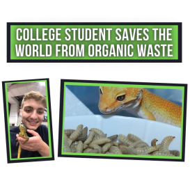 Ecoflys:Student Saves the World from Organic Waste