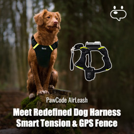 AirLeash: World's First Smart Tension GPS Harness