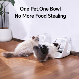 Microchip Pet Feeder: No More Food Stealing