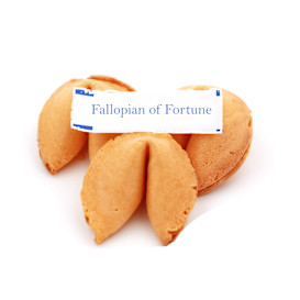 Fallopian of Fortune