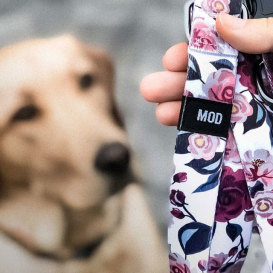 MOD - Modern Dog Leashes, Collars & Harnesses