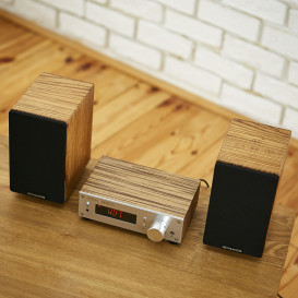 SoundHub: Newtro amp to bring life to old device
