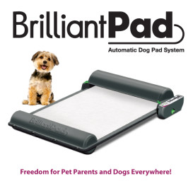 BrilliantPad: Self-Cleaning Indoor Dog Potty