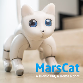 MarsCat: A Bionic Cat, a Home Robot