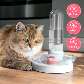 KittySpring: Non-Electric, No-Hassle Cat Fountain